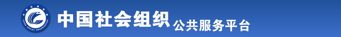 黑丝插逼全国社会组织信息查询